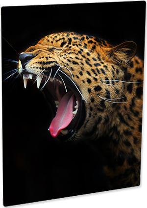 Metal Print Semi-Gloss White