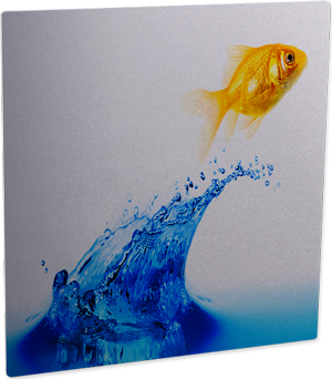Metal Print Gloss Clear